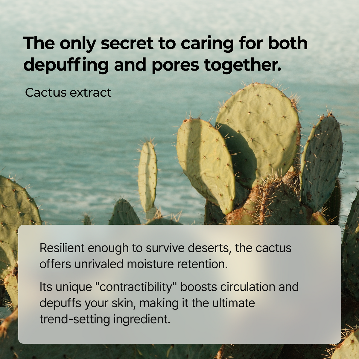 Peel Shot Exfoliating Cactox Serum